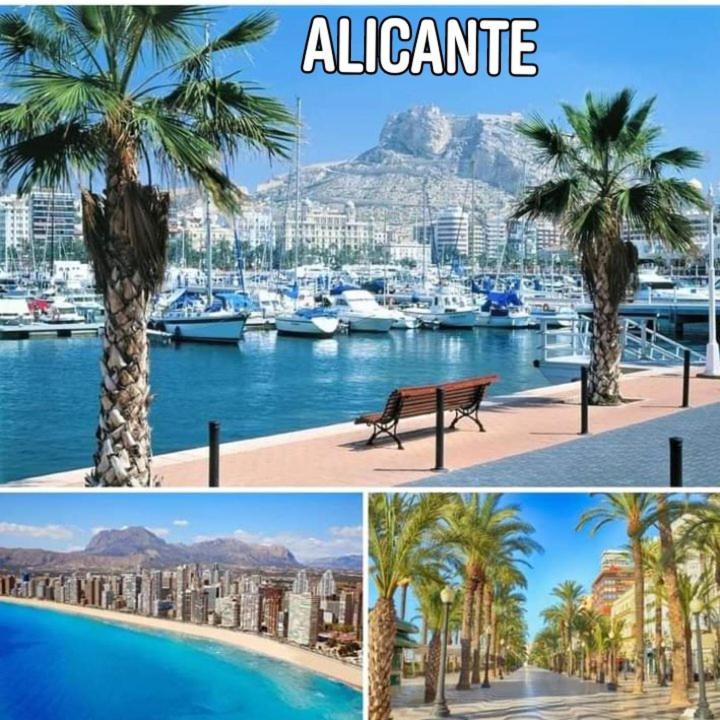 Magic Apartament - Alicante Eksteriør bilde